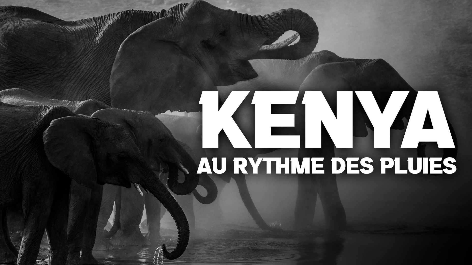Kenya : au rythme des pluies - S01E01 — Arte Allemand 17:50