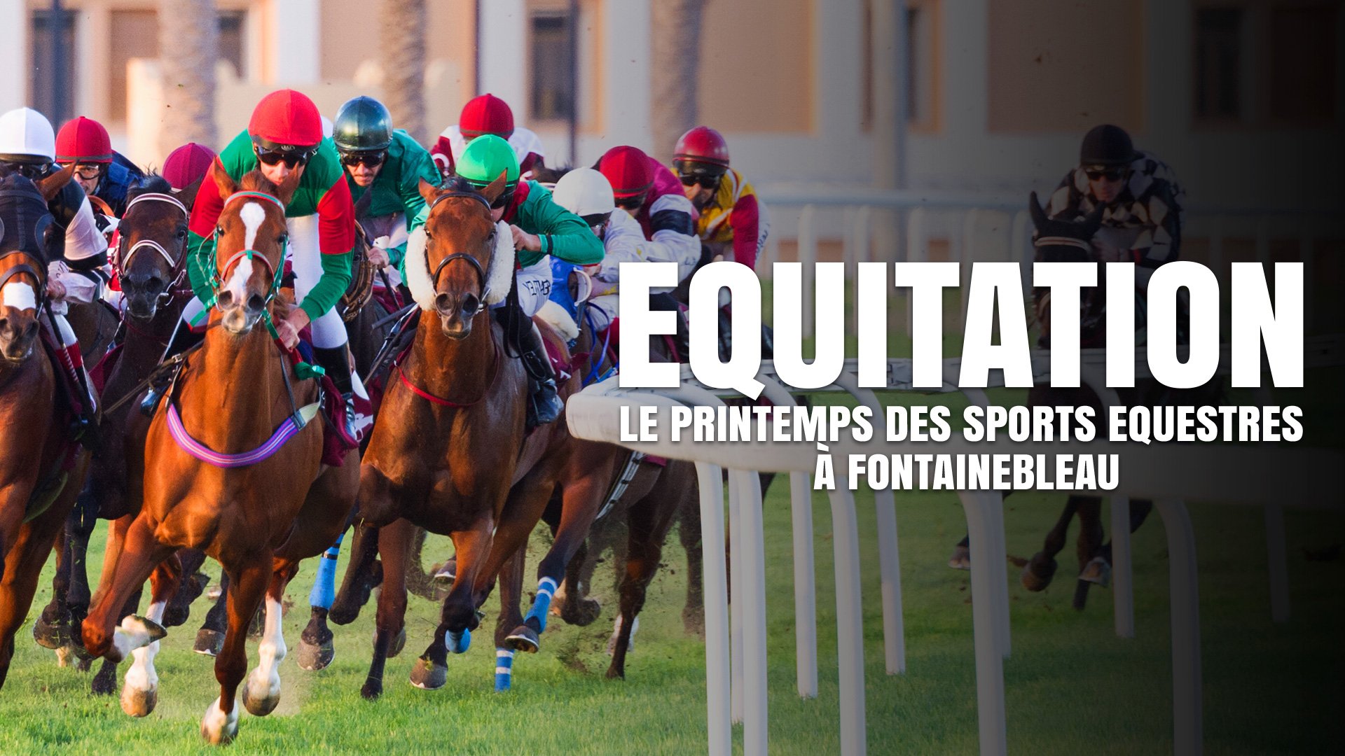 Equitation : Le Printemps des Sports Equestres à Fontainebleau