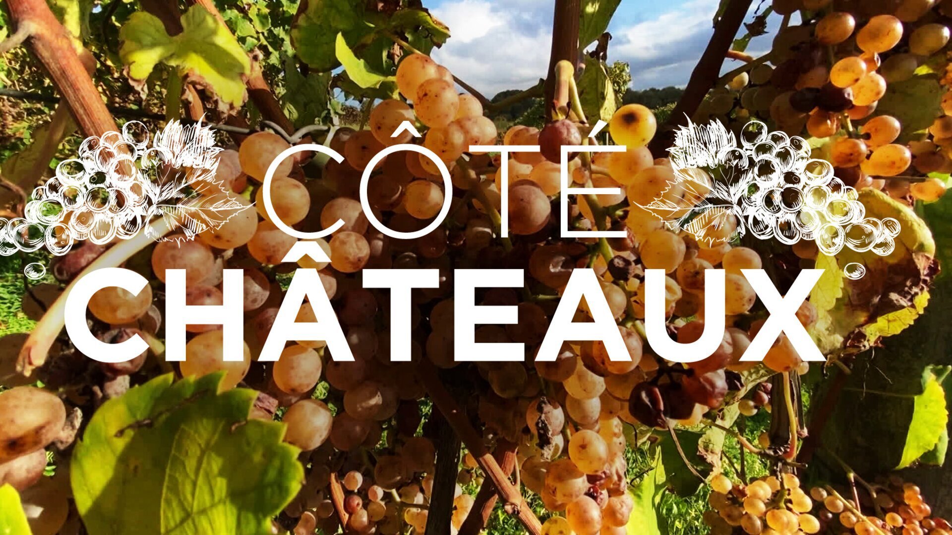 Côté châteaux — France 3 Nouvelle Aquitaine 11:50