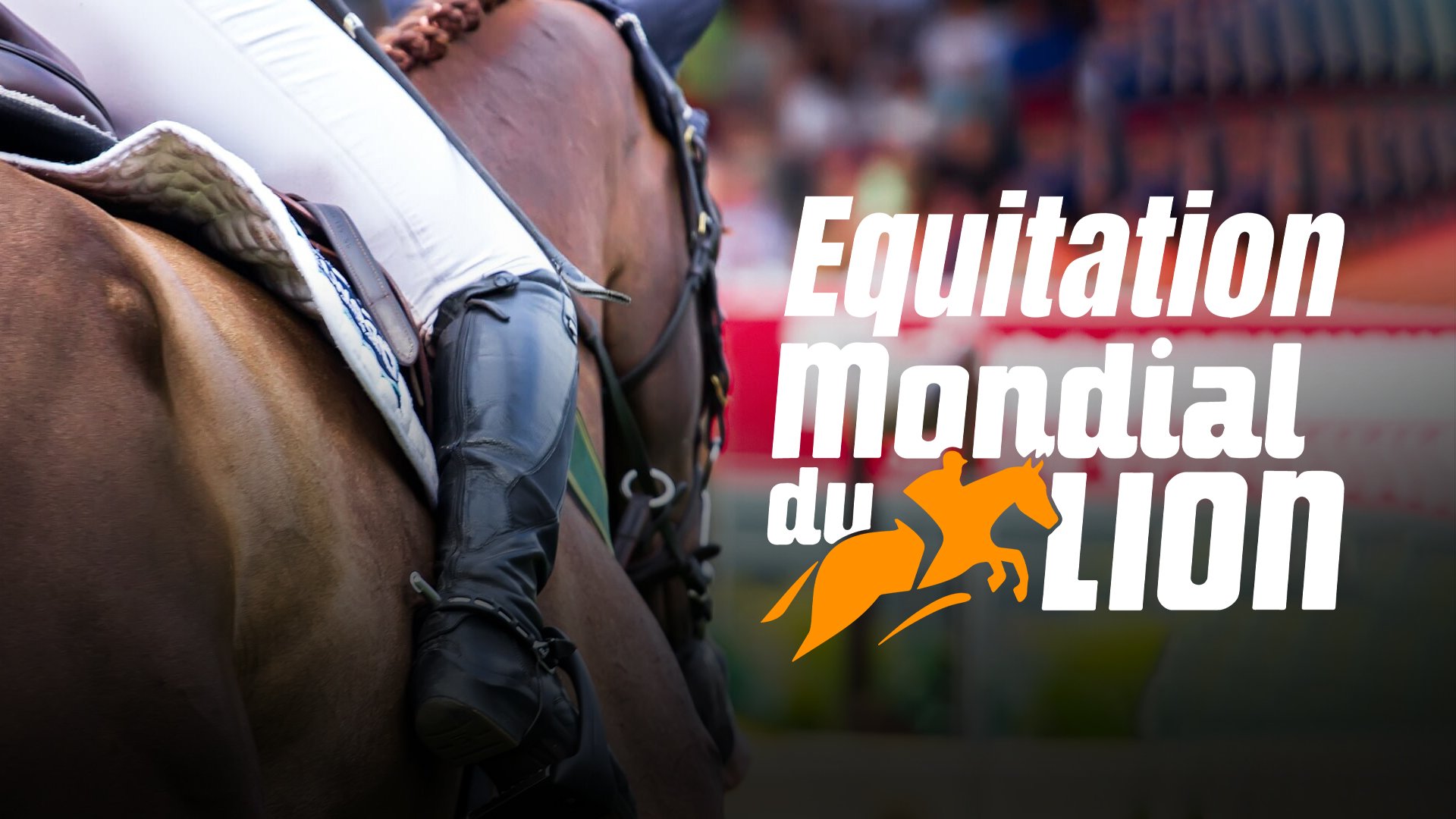Equitation : Mondial du Lion