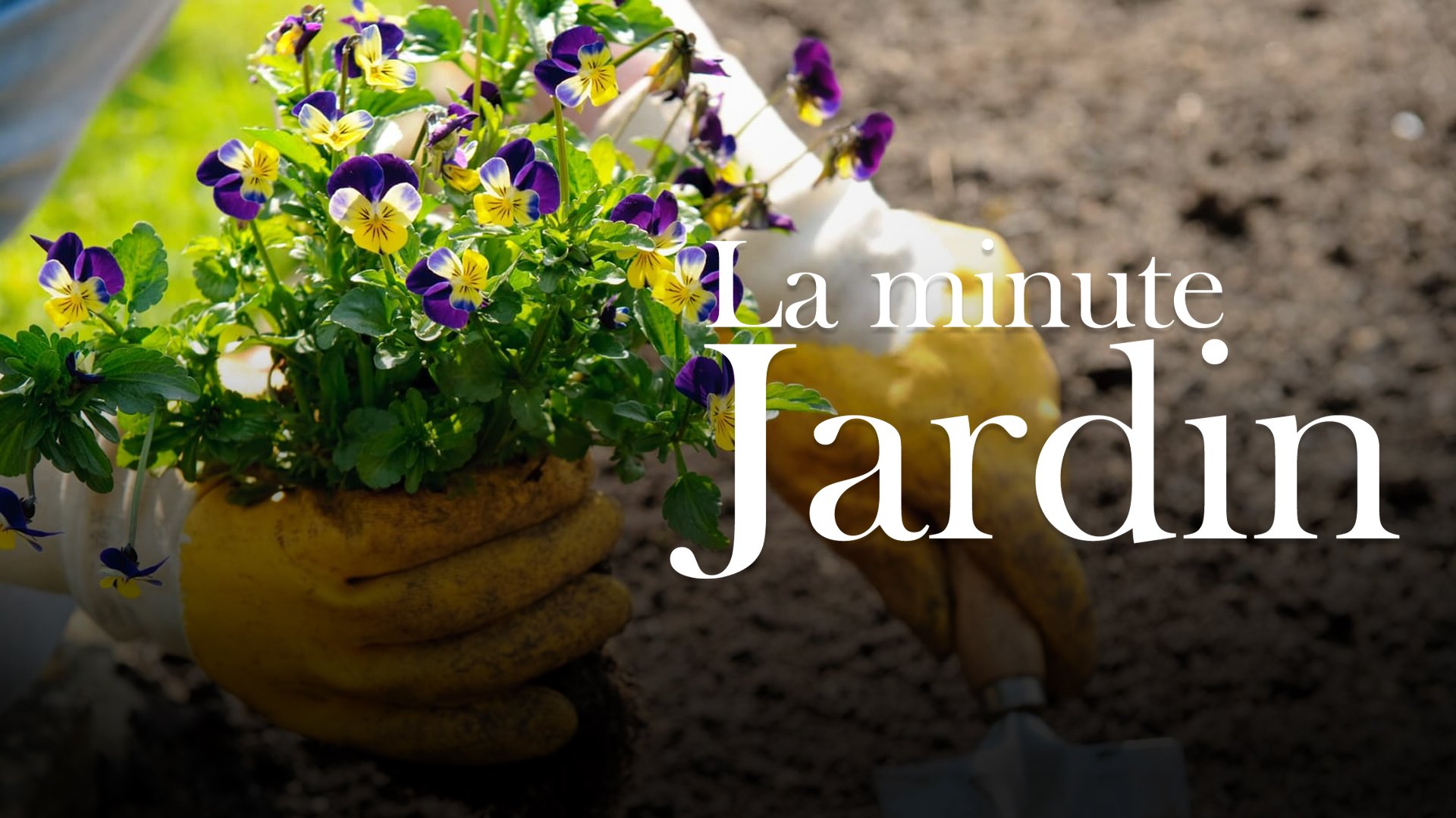 Atelier jardin - S01E13 — MaisonEtTravaux.fr 21:51