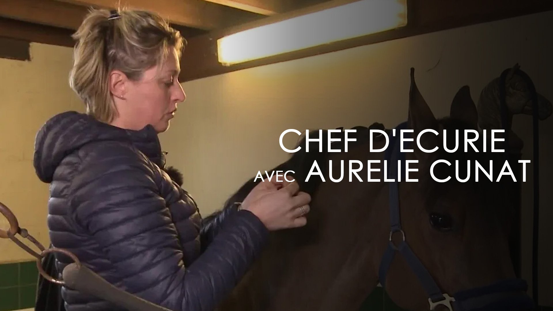 Chef d'Ecurie avec Aurelie Cunat