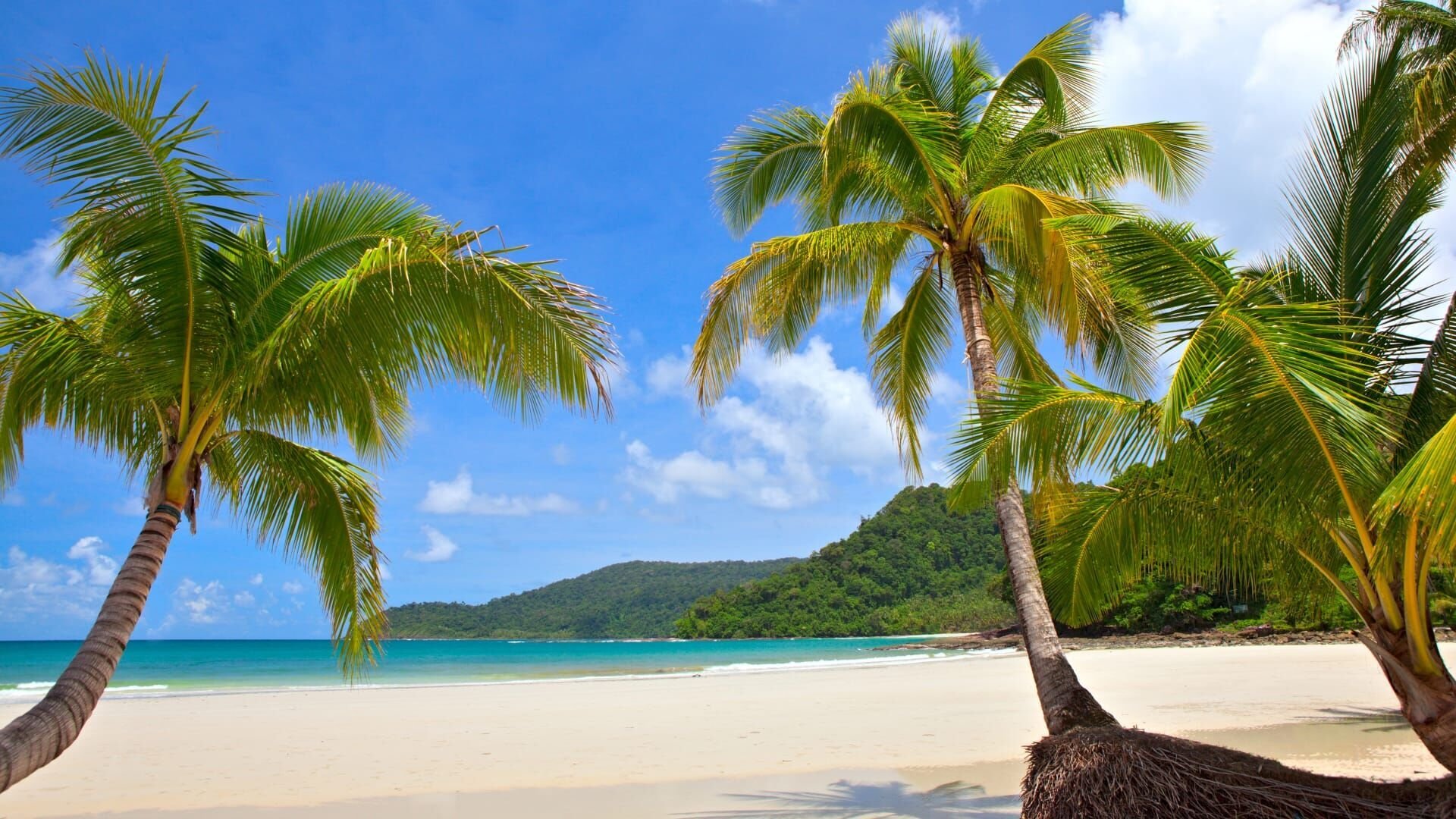 Promis unter Palmen - Für Geld mache ich alles! - S04E05 — Sat.1 20:15