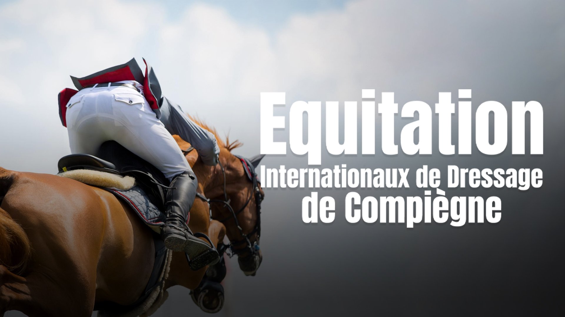 Equitation : Internationaux de Dressage de Compiègne