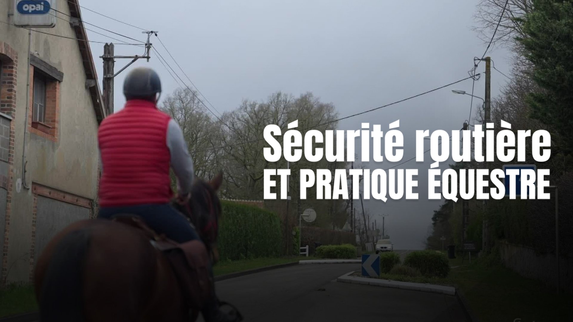 Sécurité routière et pratique équestre