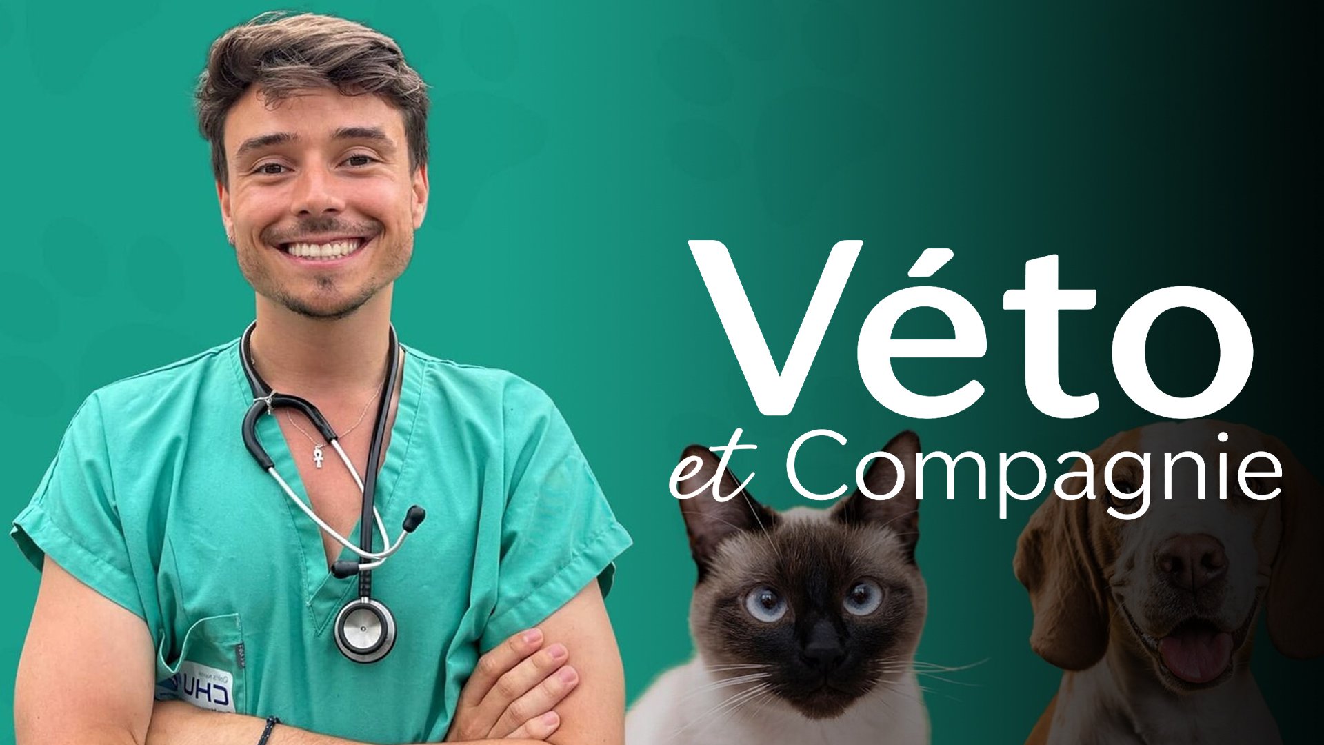 Véto et Compagnie - S01E08